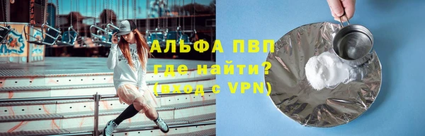 шишки Белоозёрский
