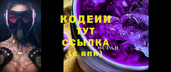 шишки Белоозёрский