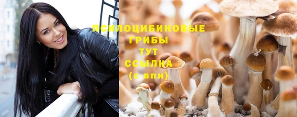 гашик Белокуриха