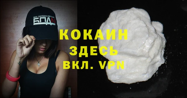 шишки Белоозёрский
