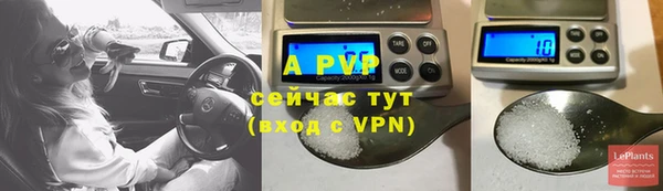гашик Белокуриха