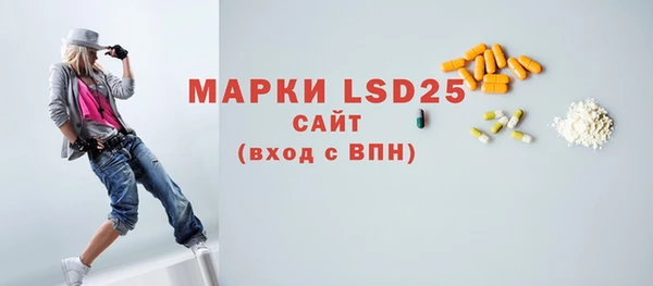 шишки Белоозёрский