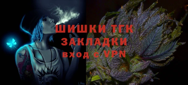 спиды Богданович
