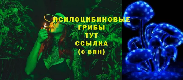 спиды Богданович