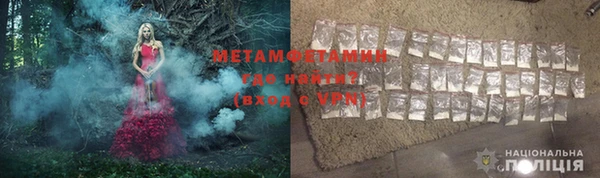 шишки Белоозёрский