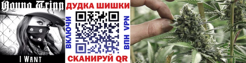 Бошки марихуана THC 21%  Купить  Омутнинск 